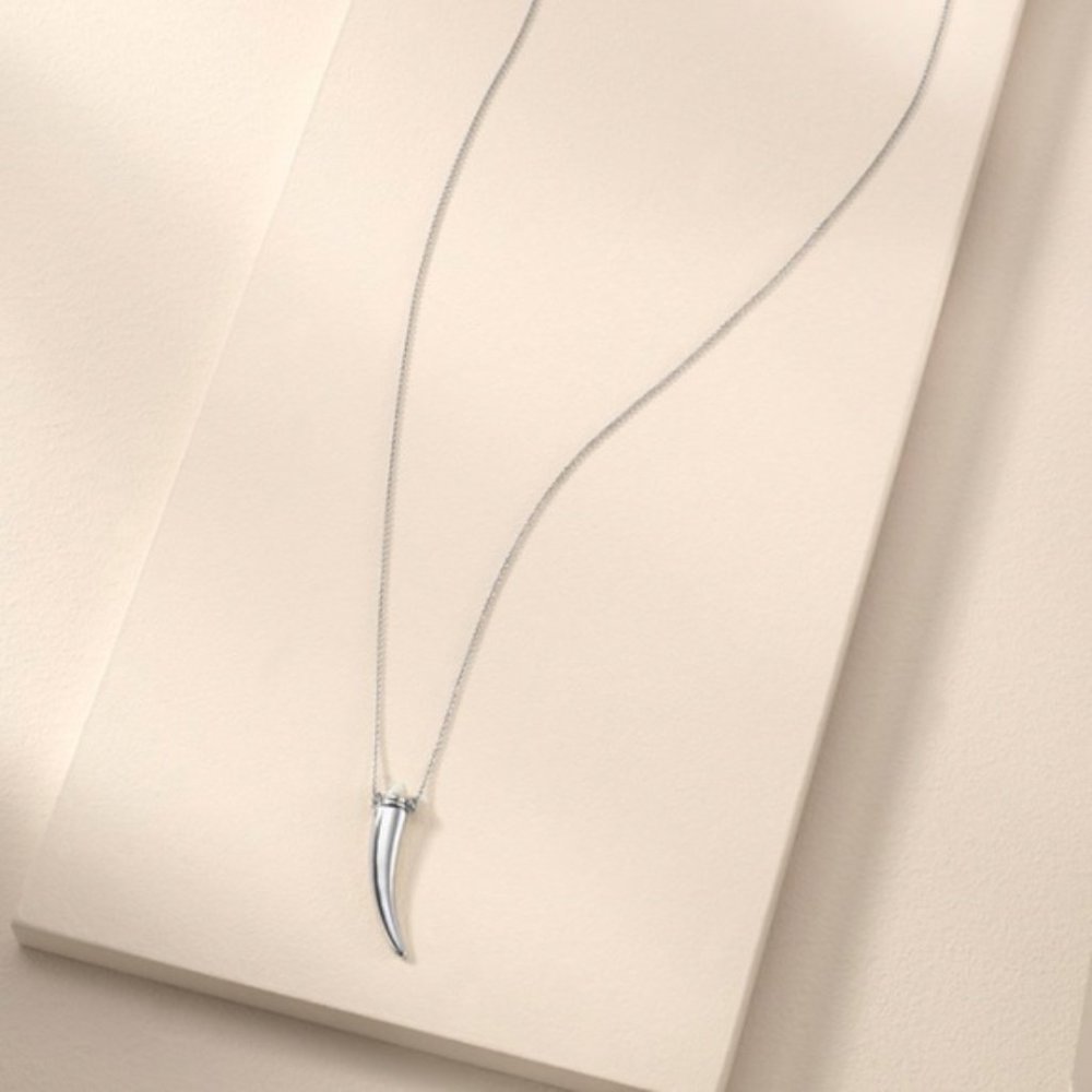 [Stella & Dot] Delicate Horn Necklace